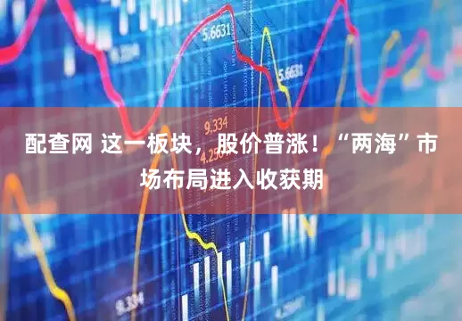 配查网 这一板块，股价普涨！“两海”市场布局进入收获期