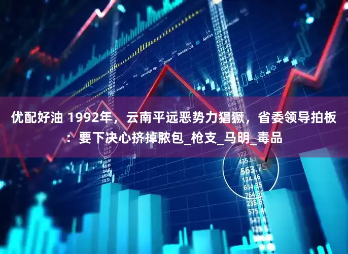 优配好油 1992年，云南平远恶势力猖獗，省委领导拍板：要下决心挤掉脓包_枪支_马明_毒品