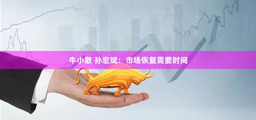 牛小散 孙宏斌：市场恢复需要时间