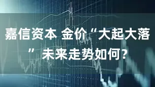 嘉信资本 金价“大起大落” 未来走势如何？